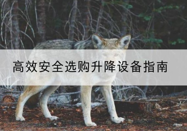太平升降货梯厂家推荐-*安全选购升降设备指南