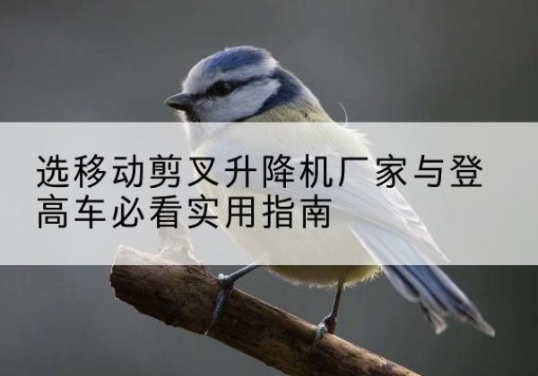 太平电动升降机厂家-选移动剪叉升降机厂家与登高车必看实用指南