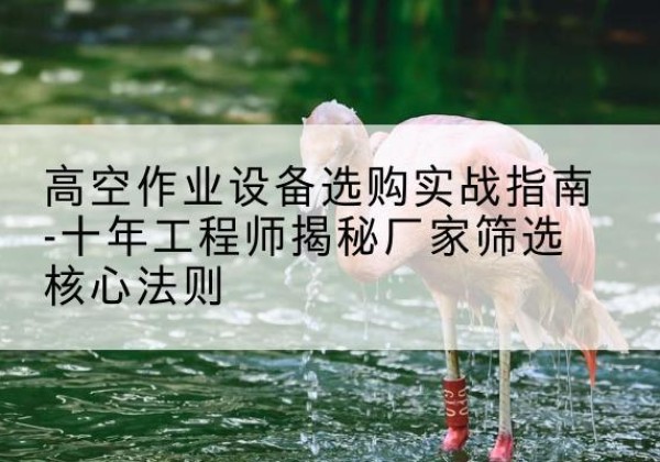 太平剪叉式升降机厂家-高空作业设备选购实战指南-十年工程师揭秘厂家筛选核心法则